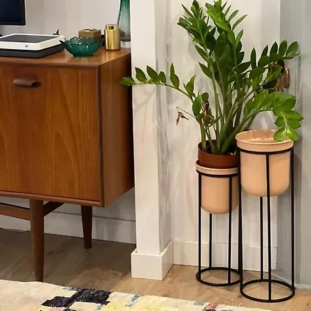 Апартаменты Palacete Frente Al Casco Viejo De